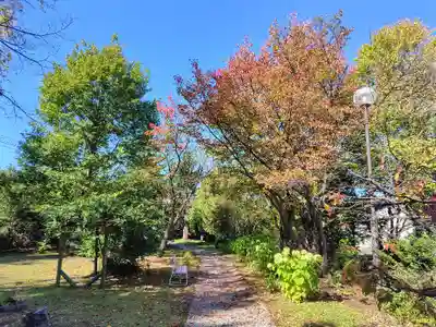 美瑛神社の自然