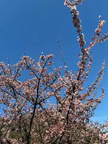 眞珠院の{uncategorized: "未分類", other: "その他", undefined: "問題あり", building: "その他建物", grave: "お墓", sacred_gate: "鳥居", guardian: "狛犬", statue: "像", buddha: "仏像", history: "歴史", nature: "自然", garden: "庭園", animal: "動物", pagoda: "塔", temizu: "手水舎", mountain_gate: "山門・神門", sanctuary: "本殿・本堂", subordinate: "末社・摂社", art: "芸術", scenery: "景色", jizo: "地蔵", ema: "絵馬", goshuin: "御朱印", omikuji: "おみくじ", items: "授与品その他", amulet: "お守り", goshuincho: "御朱印帳", eats: "食事", festival: "お祭り", votive_dance: "神楽", shichigosan: "七五三参", wedding: "結婚式", experience: "体験その他", initially: "初詣", around: "周辺", anti_infection: "感染症対策"}