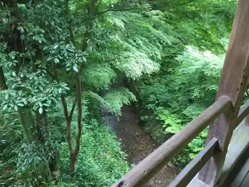 東福禅寺（東福寺）の自然