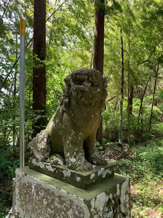 瀧口神社の狛犬