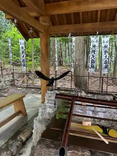 熊野本宮大社(和歌山県)