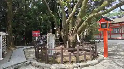 賀茂御祖神社（下鴨神社）(京都府)
