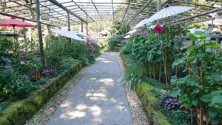 上野東照宮の周辺