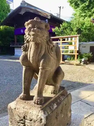 鮫州八幡神社の狛犬