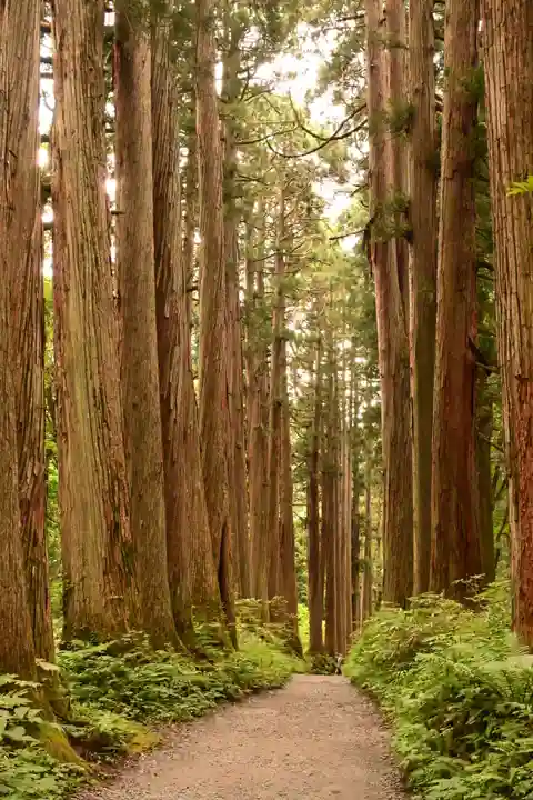 戸隠神社九頭龍社(長野県)