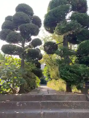 蟠龍寺(東京都)