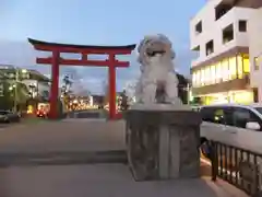 鶴岡八幡宮の狛犬