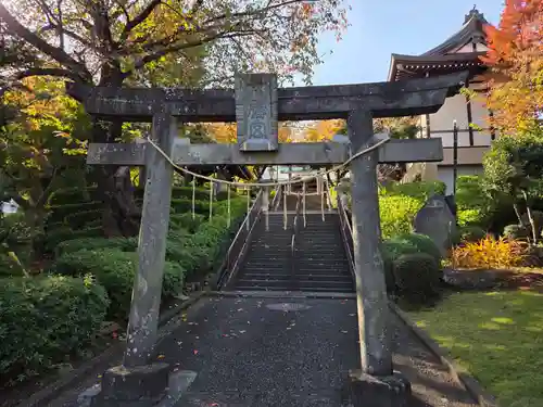 白幡八幡大神(神奈川県)