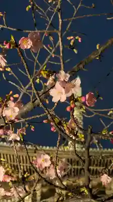 東寺（教王護国寺）(京都府)