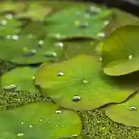 伊勢の国 四天王寺(三重県)