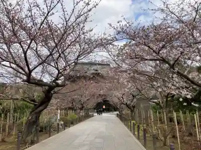 建長寺のその他建物
