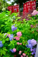 連祥院(栃木県)