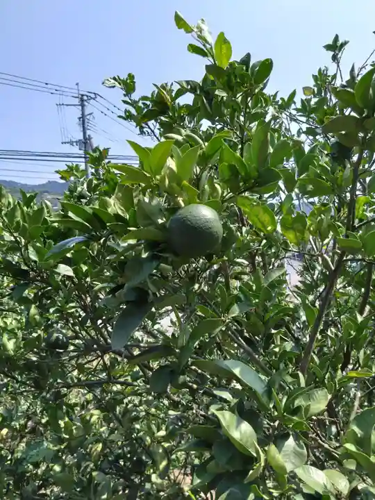 河内阿蘇神社(熊本県)