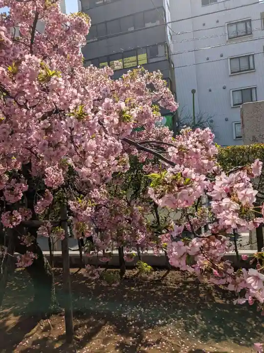 桜神宮(東京都)