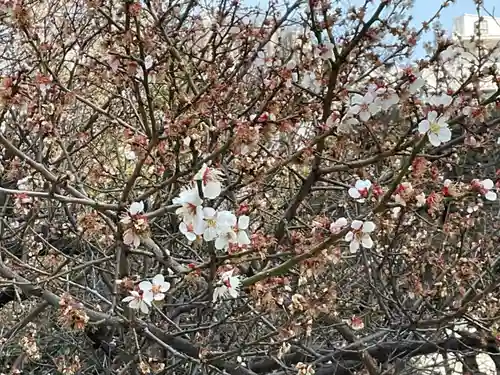 花園神社の自然