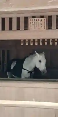 伊勢神宮外宮（豊受大神宮）(三重県)