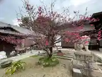 等乃伎神社の自然