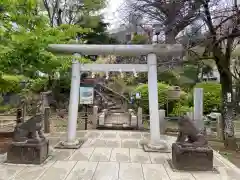 鳩森八幡神社の建物その他