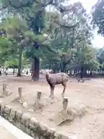 春日大社(奈良県)