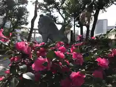 菊田神社の自然