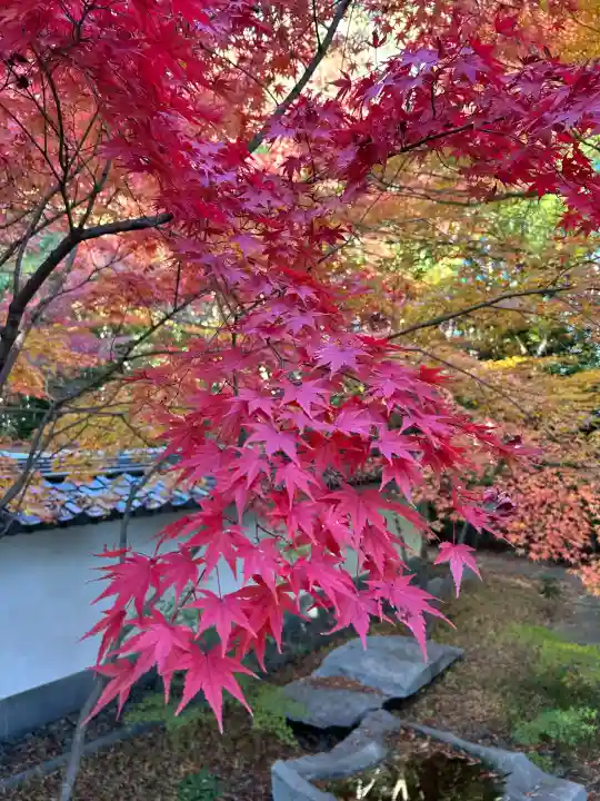 大森寺(愛知県)