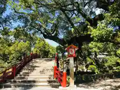 太宰府天満宮の建物その他