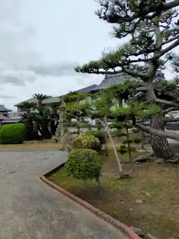 称念寺(大阪府)