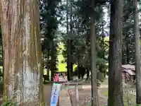 大宮温泉神社(栃木県)