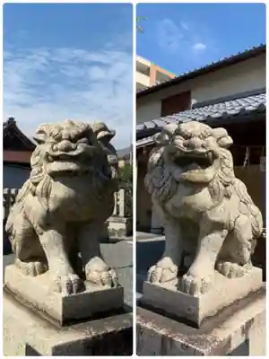 玄武神社の狛犬
