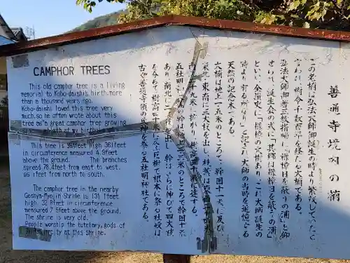 善通寺のその他建物