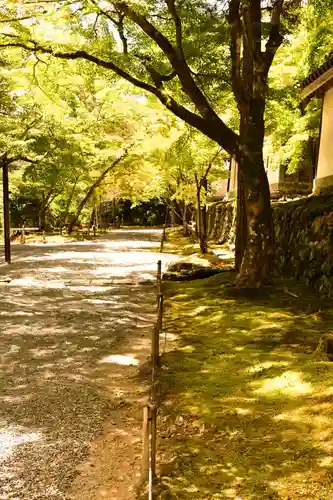 二尊院(京都府)