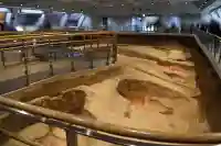 吉野ヶ里遺跡北墳丘墓の{uncategorized: "未分類", other: "その他", undefined: "問題あり", building: "その他建物", grave: "お墓", sacred_gate: "鳥居", guardian: "狛犬", statue: "像", buddha: "仏像", history: "歴史", nature: "自然", garden: "庭園", animal: "動物", pagoda: "塔", temizu: "手水舎", mountain_gate: "山門・神門", sanctuary: "本殿・本堂", subordinate: "末社・摂社", art: "芸術", scenery: "景色", jizo: "地蔵", ema: "絵馬", goshuin: "御朱印", omikuji: "おみくじ", items: "授与品その他", amulet: "お守り", goshuincho: "御朱印帳", eats: "食事", festival: "お祭り", votive_dance: "神楽", shichigosan: "七五三参", wedding: "結婚式", experience: "体験その他", initially: "初詣", around: "周辺", anti_infection: "感染症対策"}