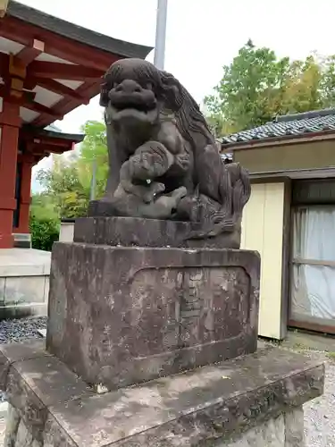 諏訪神社の狛犬