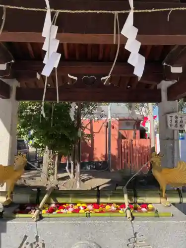 富岡八幡宮の{uncategorized: "未分類", other: "その他", undefined: "問題あり", building: "その他建物", grave: "お墓", sacred_gate: "鳥居", guardian: "狛犬", statue: "像", buddha: "仏像", history: "歴史", nature: "自然", garden: "庭園", animal: "動物", pagoda: "塔", temizu: "手水舎", mountain_gate: "山門・神門", sanctuary: "本殿・本堂", subordinate: "末社・摂社", art: "芸術", scenery: "景色", jizo: "地蔵", ema: "絵馬", goshuin: "御朱印", omikuji: "おみくじ", items: "授与品その他", amulet: "お守り", goshuincho: "御朱印帳", eats: "食事", festival: "お祭り", votive_dance: "神楽", shichigosan: "七五三参", wedding: "結婚式", experience: "体験その他", initially: "初詣", around: "周辺", anti_infection: "感染症対策"}