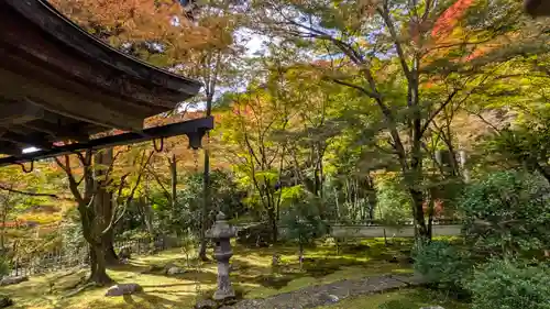 高山寺(京都府)