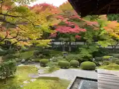 御寺 泉涌寺(京都府)