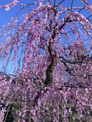 花乃丘神社(三重県)