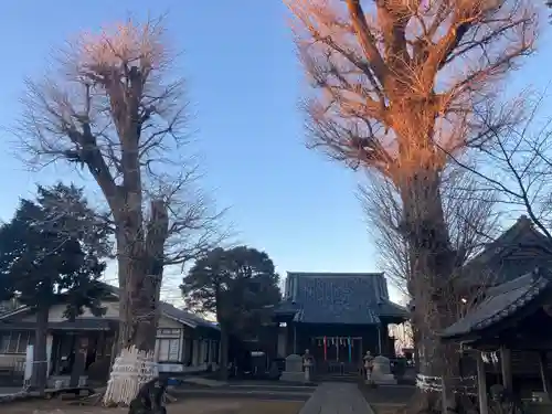 諏訪神社(東京都)