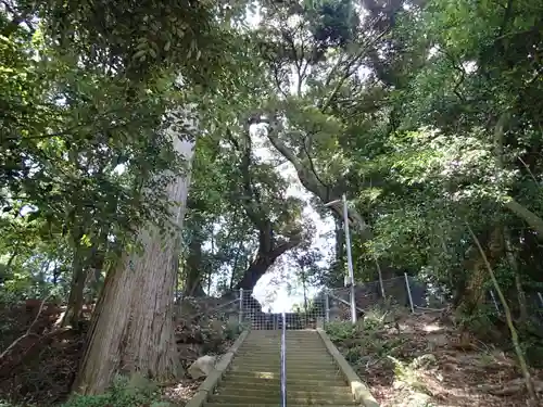 春日神社の建物その他