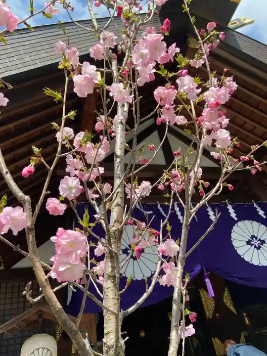 東京大神宮のその他建物
