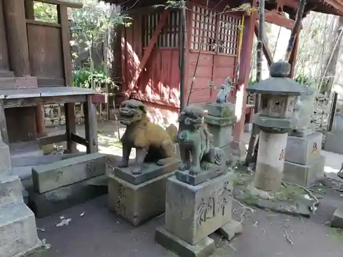 渋谷氷川神社の狛犬