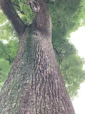 玉田神社(京都府)