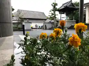 信行寺の自然(2020年10月22日(木) 08時05分44秒投稿)