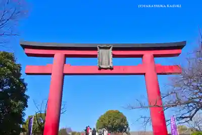 亀戸天神社(東京都)