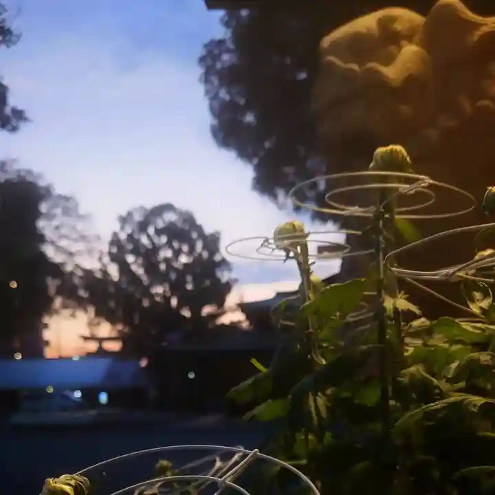 尾張大國霊神社(国府宮)(愛知県)