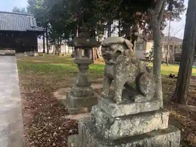 事代主神社の狛犬