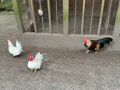 石上神宮(奈良県)