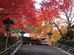 最乗寺（道了尊）(神奈川県)