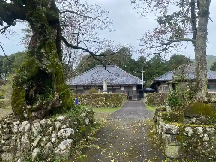 長徳寺の{uncategorized: "未分類", other: "その他", undefined: "問題あり", building: "その他建物", grave: "お墓", sacred_gate: "鳥居", guardian: "狛犬", statue: "像", buddha: "仏像", history: "歴史", nature: "自然", garden: "庭園", animal: "動物", pagoda: "塔", temizu: "手水舎", mountain_gate: "山門・神門", sanctuary: "本殿・本堂", subordinate: "末社・摂社", art: "芸術", scenery: "景色", jizo: "地蔵", ema: "絵馬", goshuin: "御朱印", omikuji: "おみくじ", items: "授与品その他", amulet: "お守り", goshuincho: "御朱印帳", eats: "食事", festival: "お祭り", votive_dance: "神楽", shichigosan: "七五三参", wedding: "結婚式", experience: "体験その他", initially: "初詣", around: "周辺", anti_infection: "感染症対策"}