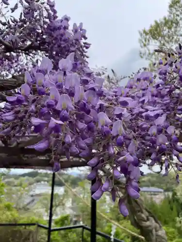 原谷弁財天(京都府)